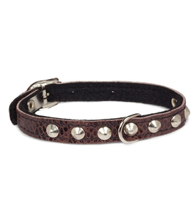 Ошейник-мини на синтепоне с украшением кожаный, 12*250мм, Gamma