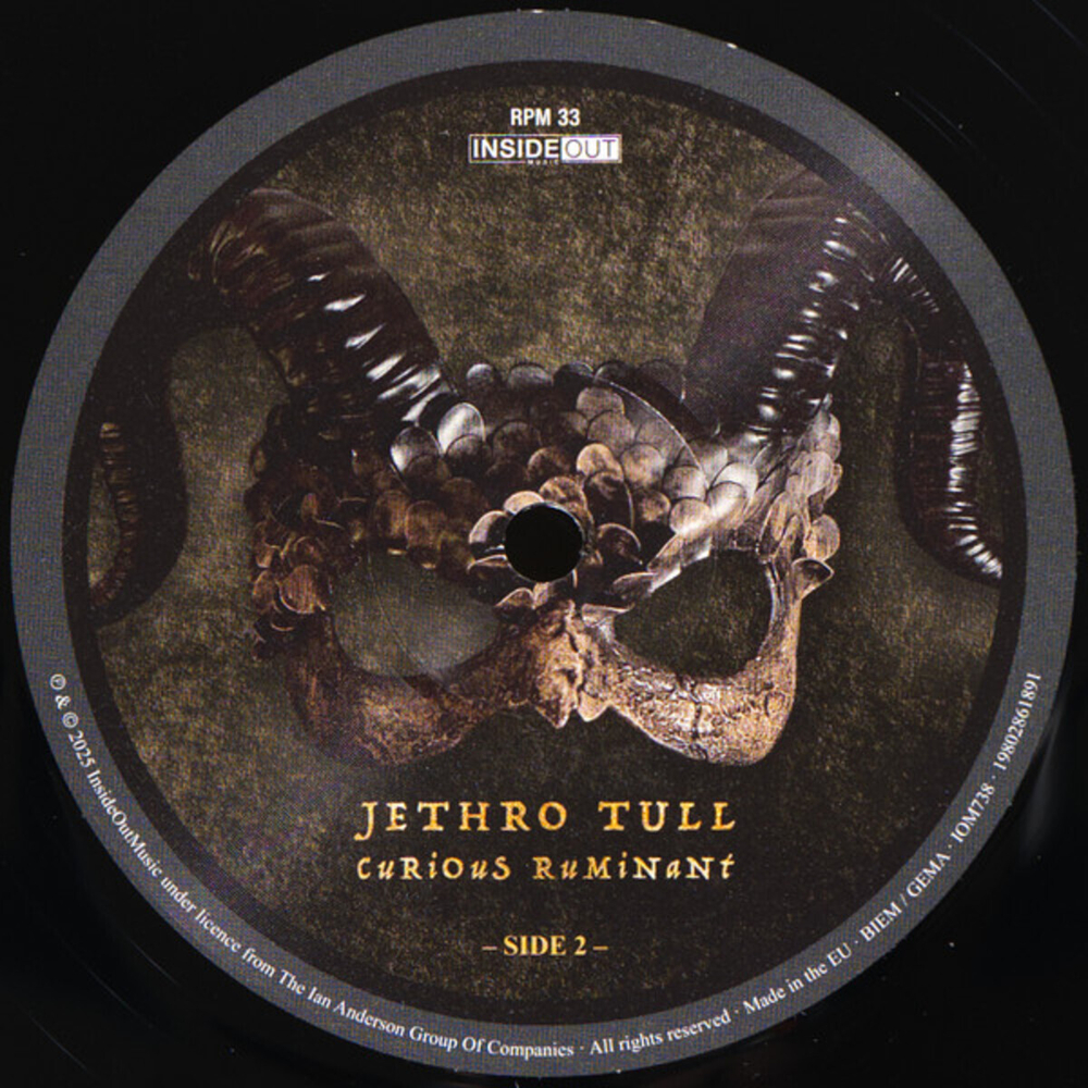 Jethro Tull / Curious Ruminant (LP)