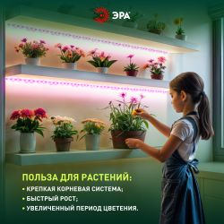 Светодиодная лента для растений ЭРА FITO-Strip Light-RB-27W-3m-12V-IP65 красно-синего спектра 3м IP65 с адаптером 12V | Светодиодные ленты для растений