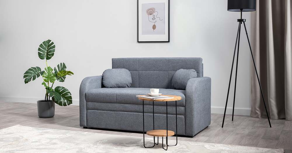 Тео Диван-кровать (120) Danco 995 Серый