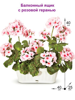 Герань розовая 40см в балконном ящике