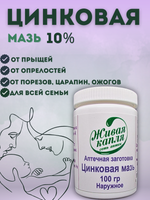 ЦИНКОВАЯ МАЗЬ 10% 100 г