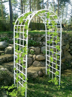 Пергола Стандарт