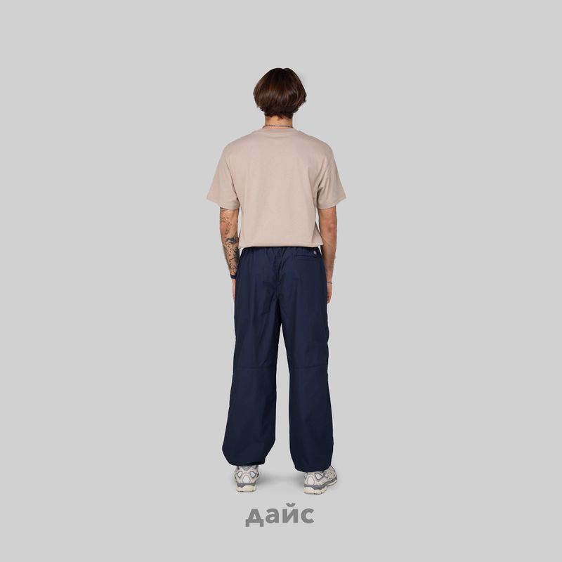 Брюки мужские Dickies Fishersville Pant артикул:DK0A4YSDDNX1 - купить в магазине Дайс
