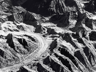 Дизайнерские обои Wall Street Bird see