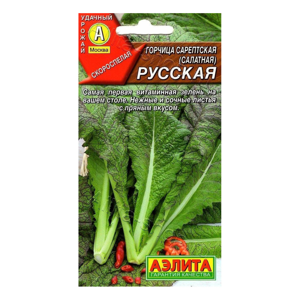Горчица Русская 0,5г Ц Аэлита