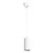 Точечный подвесной светильник Arte Lamp CANOPUS A1516SP-1WH