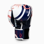 Боксёрские перчатки Twins Special FBGVL3-44 Yant