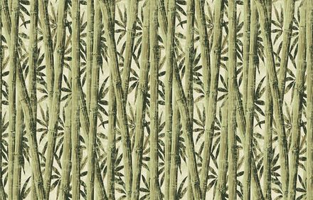 Bamboo