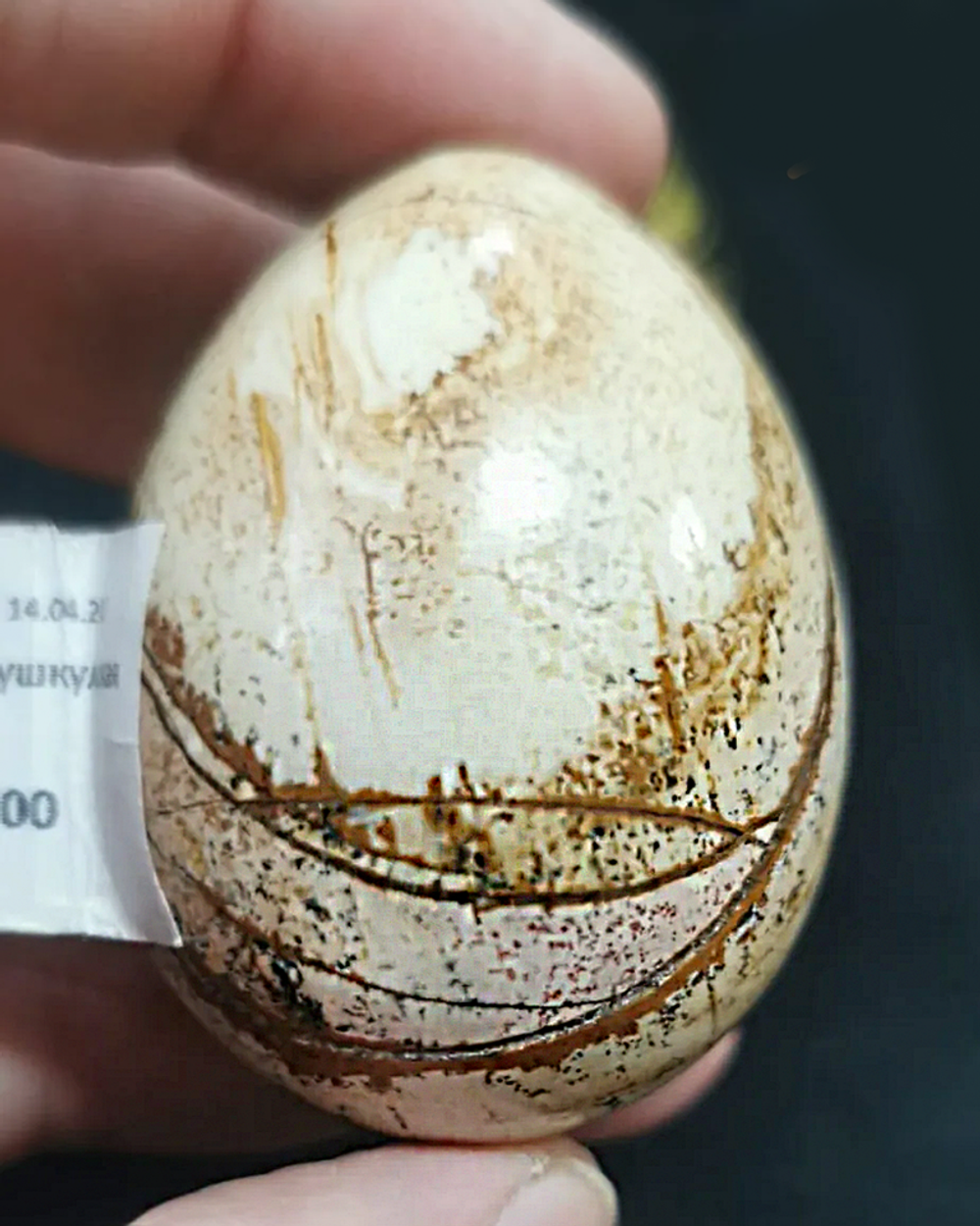 Яйцо 51мм яшма аушкульская 104гр.