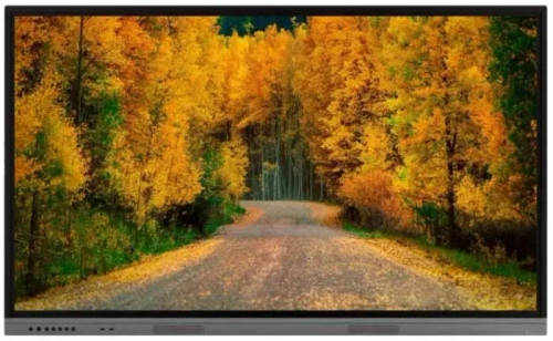 Интерактивный дисплей BOE BOE P75DE-CMRE