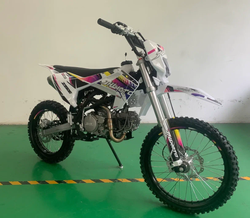 Питбайк JHL Z150E (YX1P60FMJ)