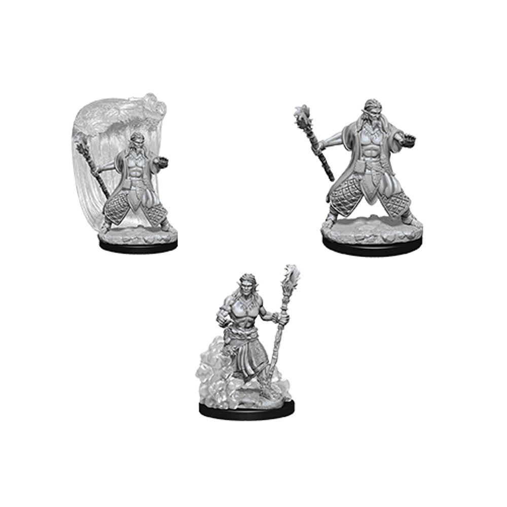 D&amp;D Nolzur&#39;s Marvelous Unpainted Miniatures - Water Genasi Male Druid