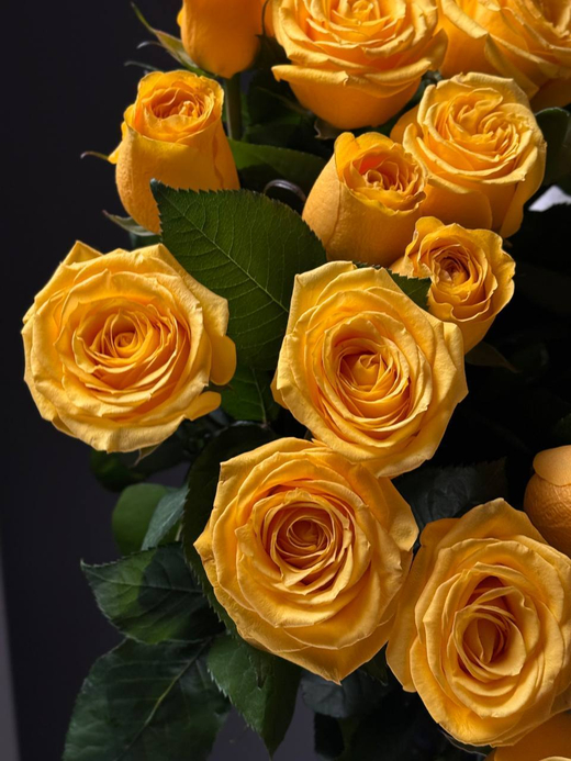 Букет из 35 желтых роз под ленту