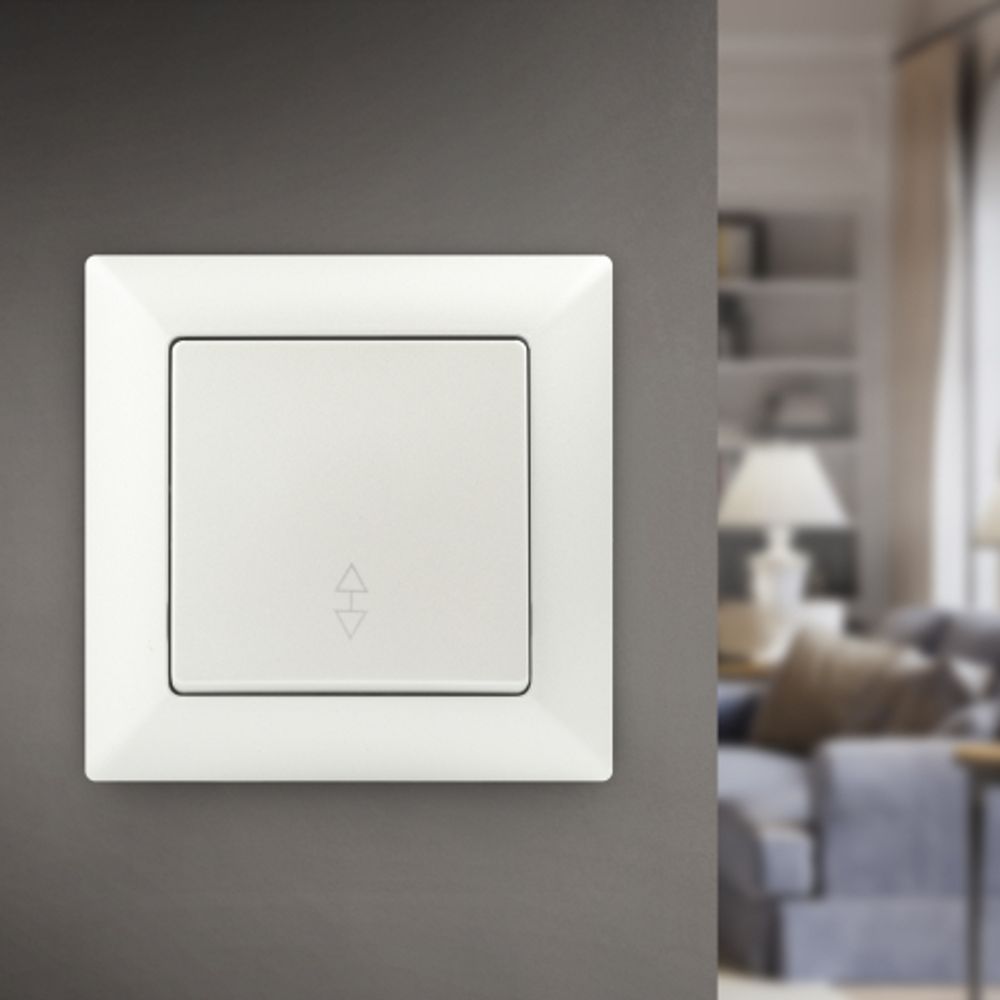 Переключатель Intro Solo 4-103-06 одноклавишный 10А-250В, IP20, СУ, перламутр