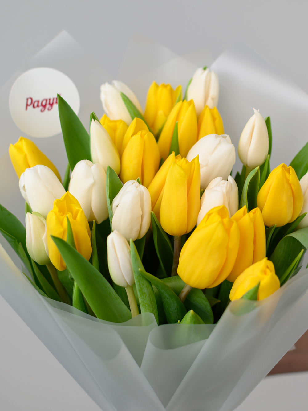 Тюльпаны микс