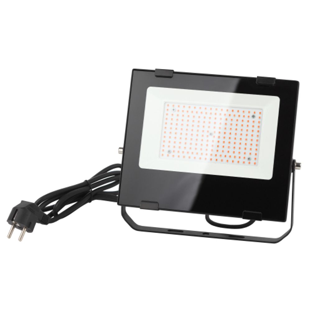 Фитопрожектор для растений светодиодный ЭРА FITO-100W-RB-LED для цветения и плодоношения красно-синего спектра 100 Вт