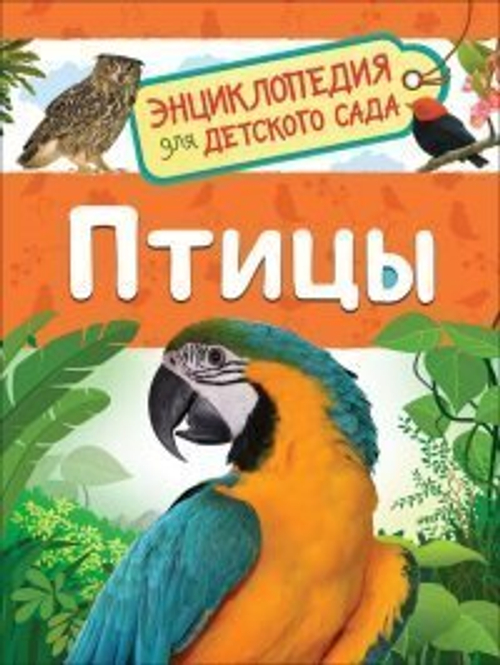 Гальцева С. Н.  Птицы (Энциклопедия для детского сада)  Энциклопедия для детского сада  Росмэн
