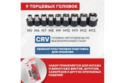 Набор головок и бит с реверсивной отверткой REXANT 21 предмет 12-6075