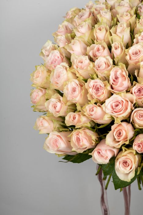 Букет роз Пинк Атена 40см (под ленту)*