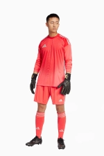 Вратарская кофта adidas Tiro 25 Competition GK - красный