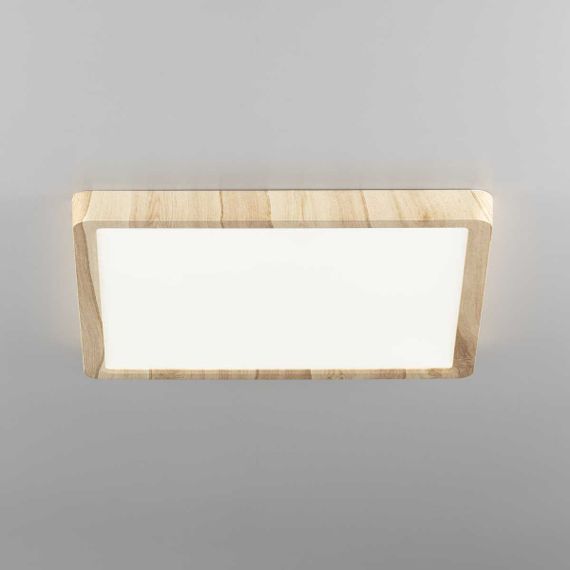 Светильник накладной Citilux Бейсик CL738K242V