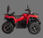 Квадроцикл Bizon YK250 LUX EFI