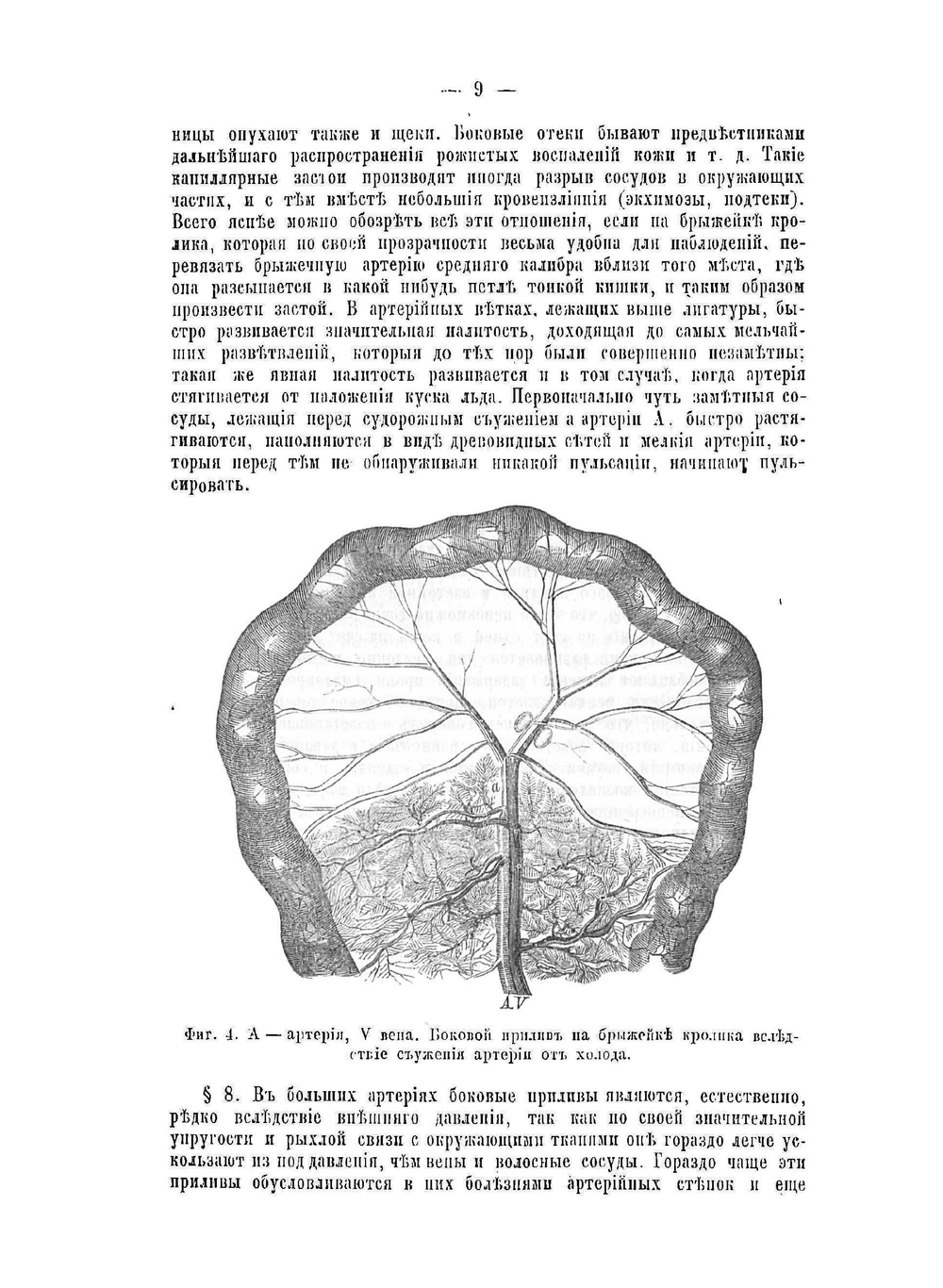 Общая и частная хирургия. Том 1 | О. Вебер