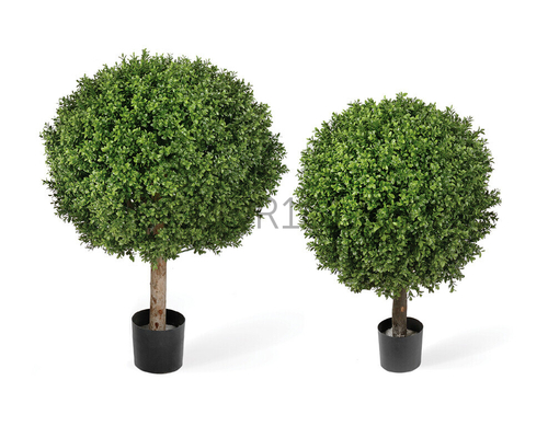 Самшит Шар уличный новый в-75 см д-60х55 см 2/2 10.44560N