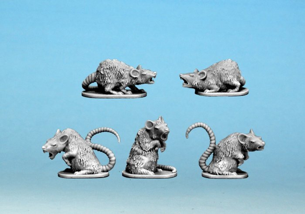 NSH1005  Giant Rats