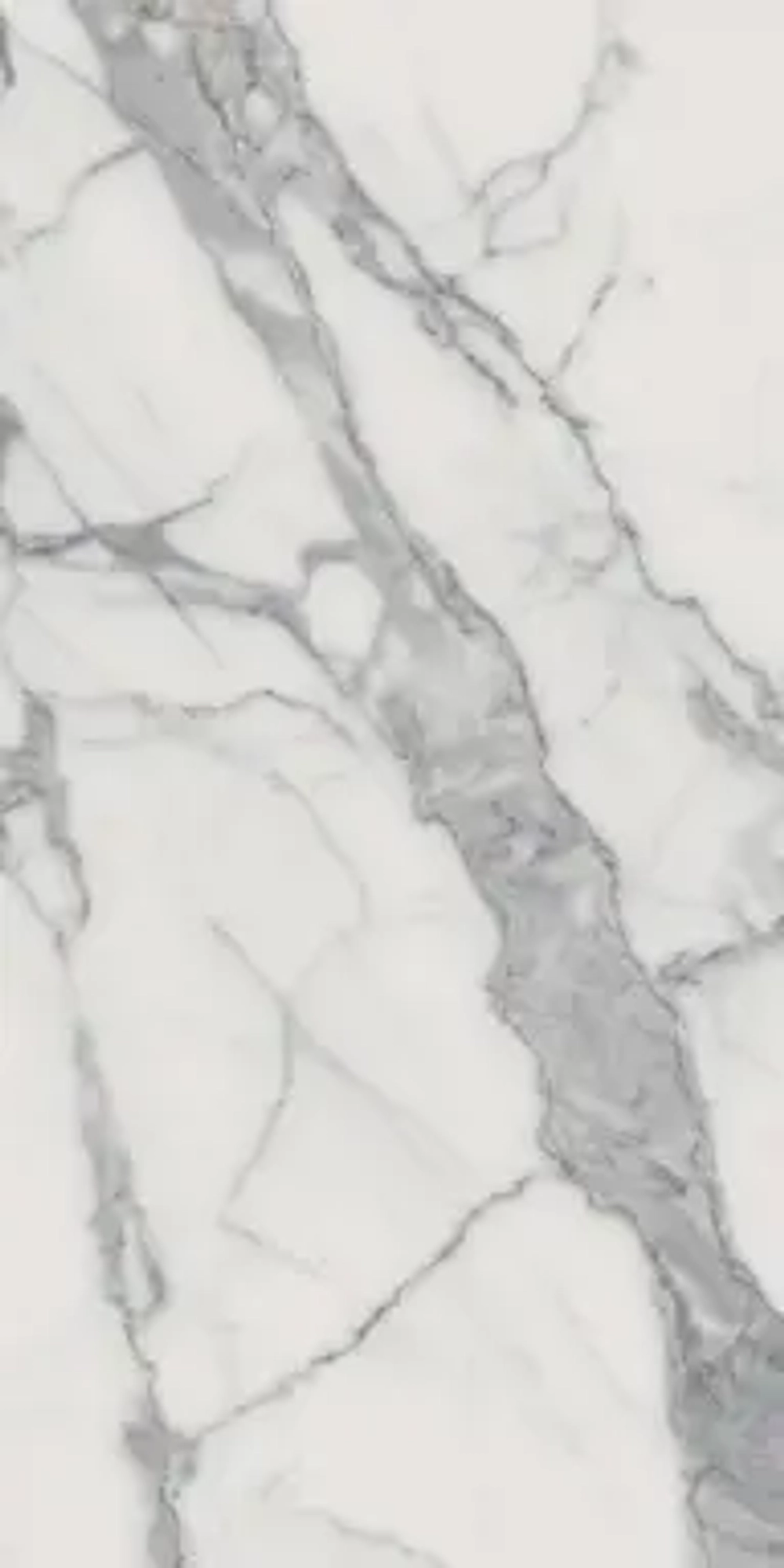 CHARM EVO STATUARIO (ШАРМ ЭВО СТАТУАРИО) 1200*600 керамогранит, натуральный