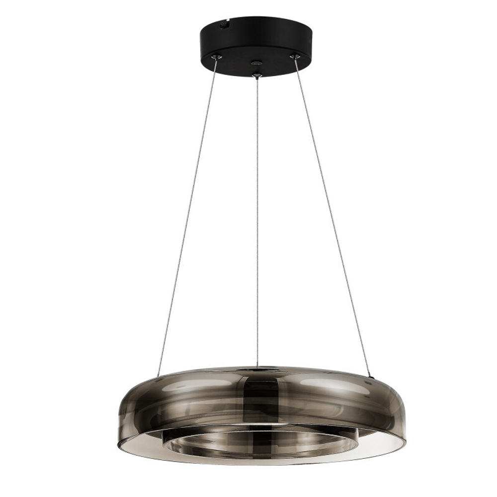 Подвесной светильник ST-Luce SL6019.323.01