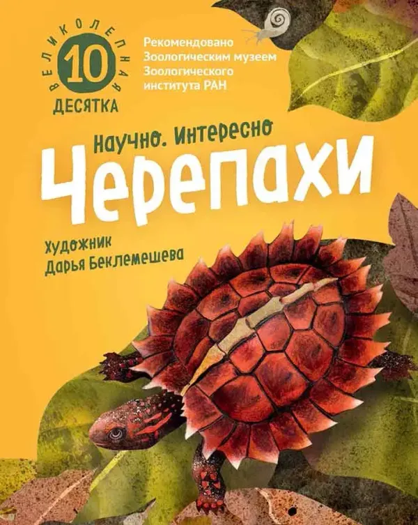 Черепахи. Великолепная десятка