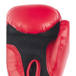 Перчатки боксерские INSANE MARS