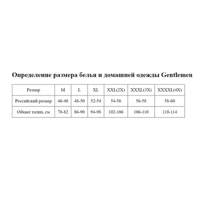 Набор из 2 трусов-слипов в клетку - черных и синих (Размер: M) (Цвет: черный с синим)