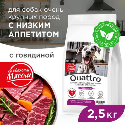 Корм сухой для взрослых собак очень крупных пород, премиум полнорационный комплекс, для собак с низким аппетитом, с говядиной, 2,5 кг, QUATTRO