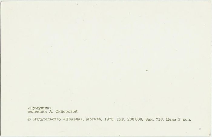 Открытка (почтовое вложение) "Кумушка"