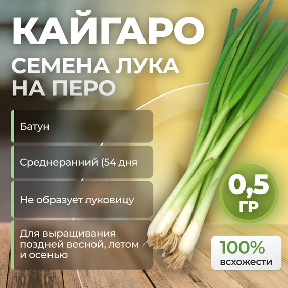 КАЙГАРО семена лука на перо (Enza Zaden | Alexagro) – фото 3