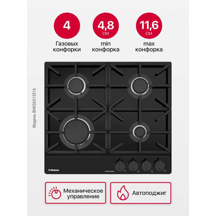 Газовая панель Hansa BHKS6515516