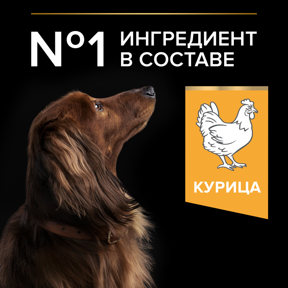 Сухой корм PRO PLAN EVERYDAY NUTRITION для взрослых собак мелких и карликовых пород курица 700 г