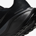 FD2722-001 Кроссовки беговые Nike Pegasus 41