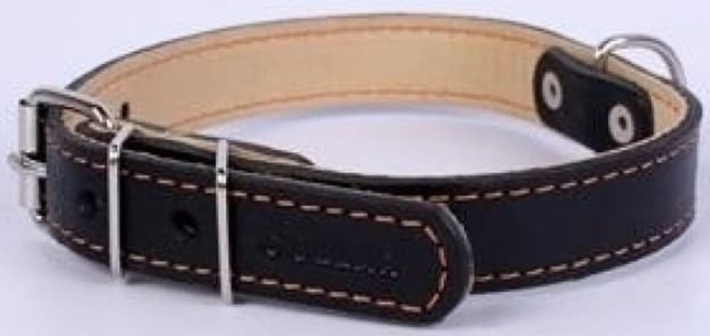 Ошейник двойной черный (ширина 20мм, длина 32-40см)  Collar