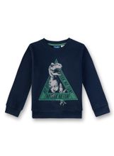 Толстовка Sanetta KIDSWEAR 125279 0582