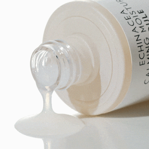 RAWQUEST Увлажняющая успокаивающая сыворотка-гель для лица с экстрактом эхинацеи - Echinacea Carming Moisture Capsule Gel Serum, 50 мл