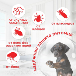 Капли на холку от клещей, блох и гельминтов для собак от 1-4 кг Инсектал комбо С (Neoterica), 1 пипетка Фипронил/Моксидектин