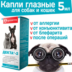 Капли глазные от аллергии, противовоспалительные бактерицидные для собак и кошек Apicenna Декта-2 / Гентамицин, Дексаметазон, 5мл