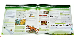 Настольная игра "Редвуд" скорость реакции