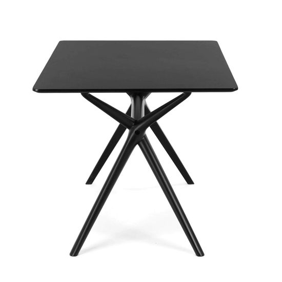 Обеденный стол BB 120x80 ножки пластик столешница черный МДФ