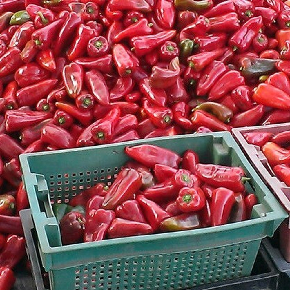 Перец Портека F1 5шт ВитаГрин ЭКСТРА