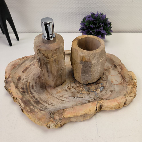 Набор из окаменелого дерева 3 предм Fossil Set NF-63079 поднос 28см*41см